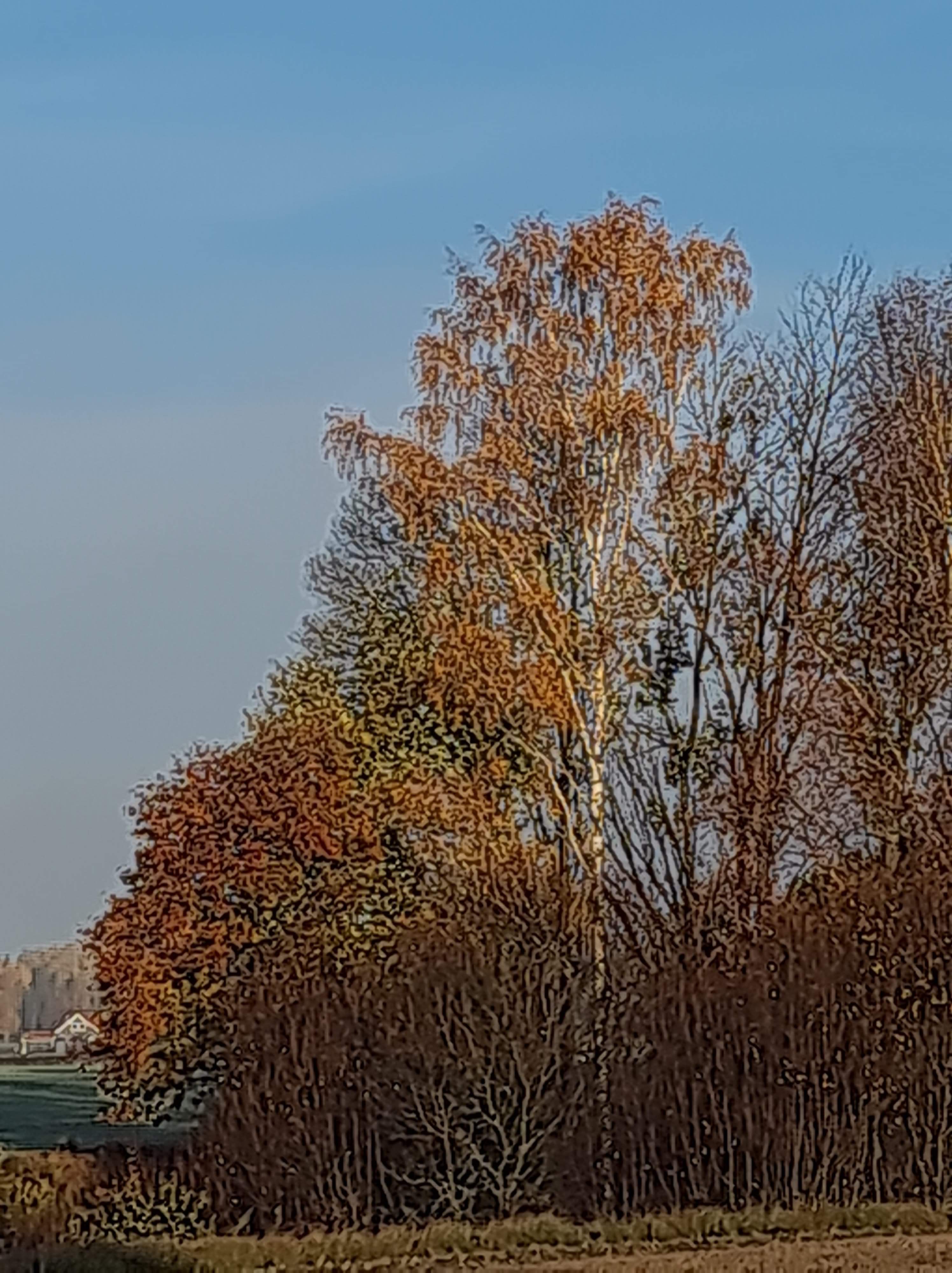 🌿 VECKANS BUDSKAP – LIVET ÄR EN REFLEKTION 🌿